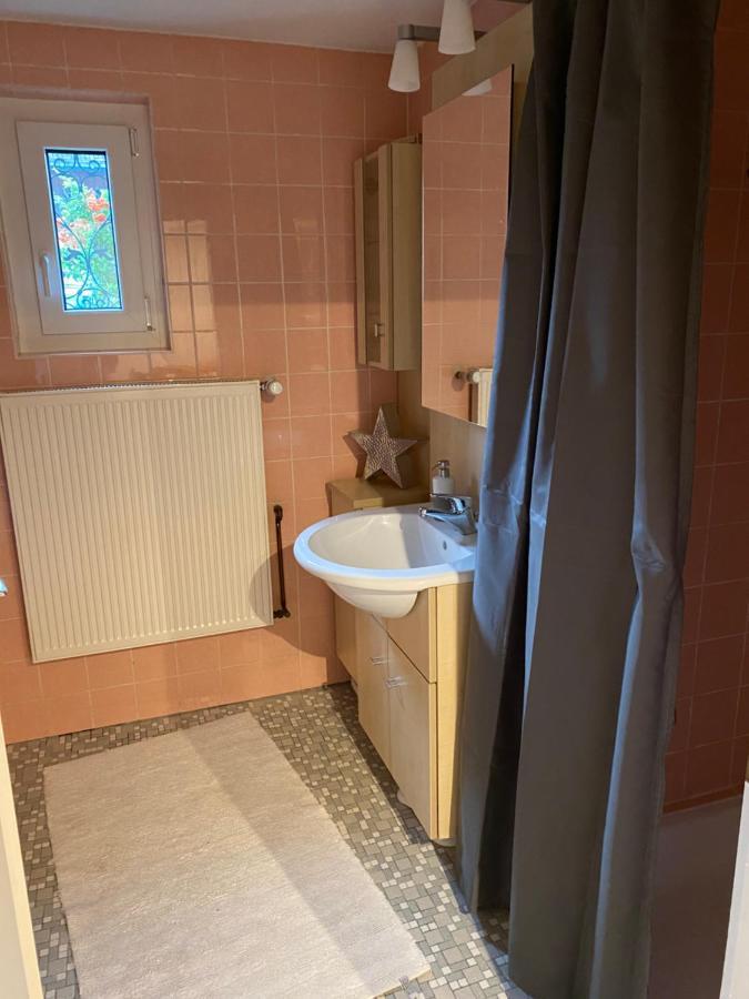 Gemuetliche Wohnung Naehe Schloss Biedenkopf Eksteriør billede